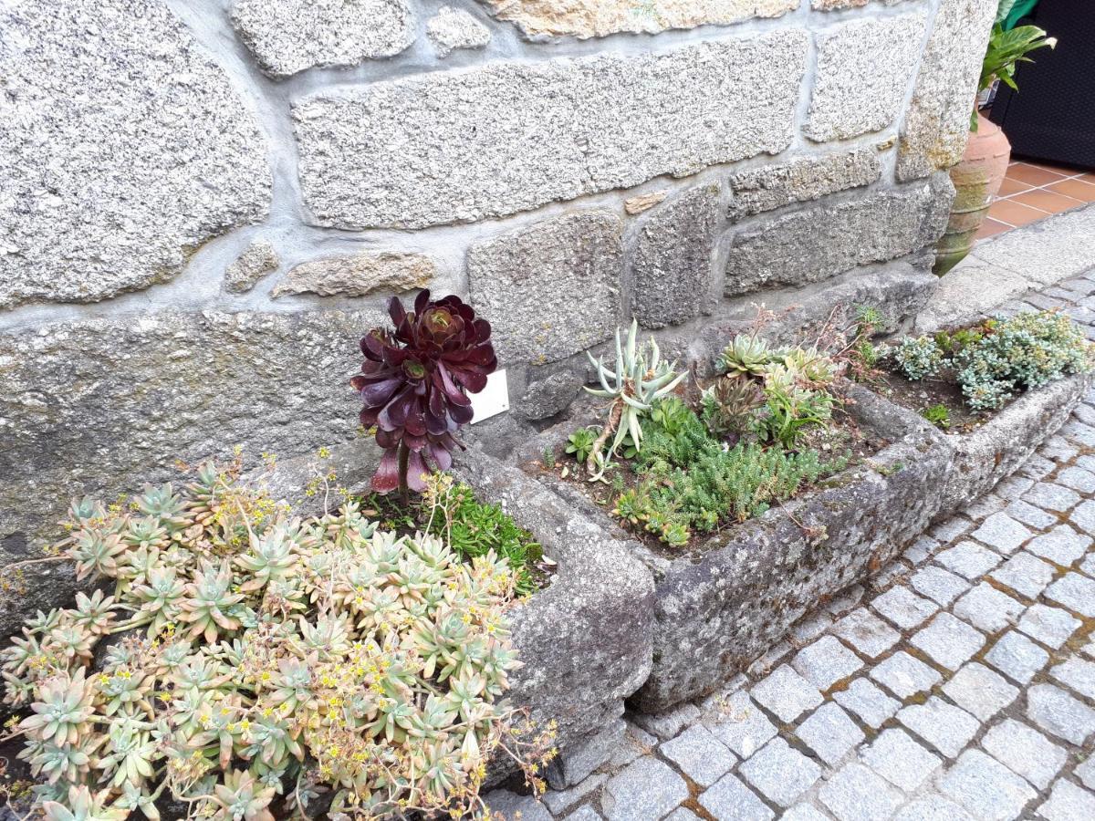 Casa Da Aldeia Βίλα Terras de Bouro Εξωτερικό φωτογραφία